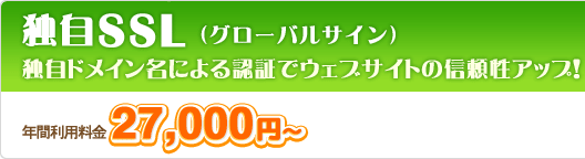 ƎhCɂF؂ŃEFuTCg̐MAbv@ƎSSL iO[oTCjGeoTrust JAPAN p27,000~/N